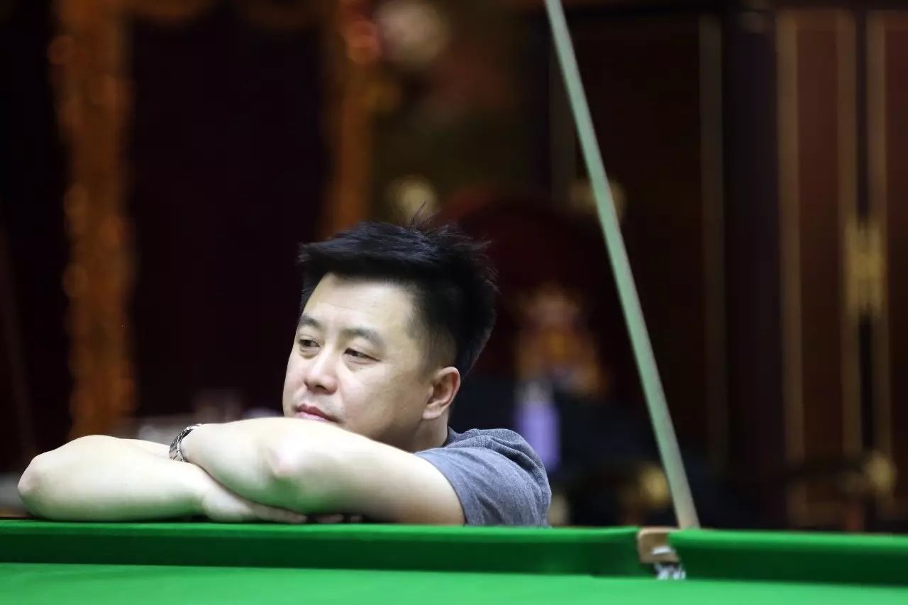 不拔精神的 不拔精神的